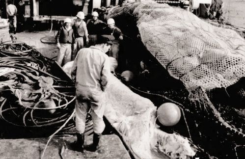 黎真主党领导人遗体之谜，无明外伤的背后