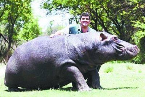 马琳缺席颁奖仪式，背后的原因与影响