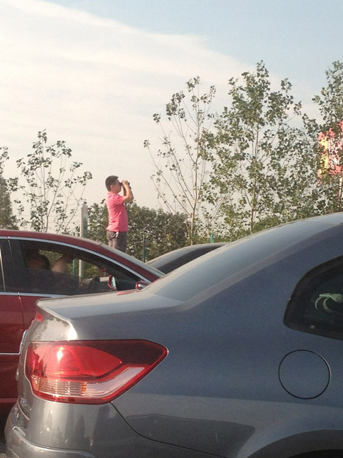 国庆高速遛狗打球，车主的特殊体验