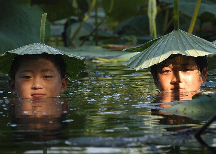 荷叶遮阳，两男子创意防晒新法