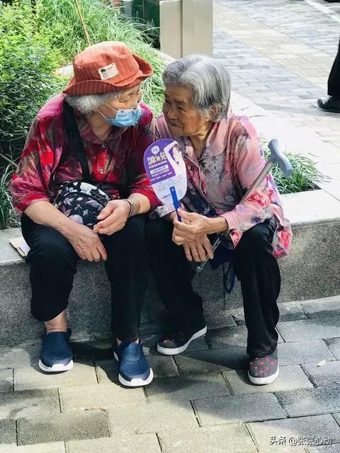 新女婿傻傻喝，老女婿偷偷吃的故事