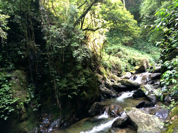 哀牢山之行，怀敬畏之心，感悟自然之韵