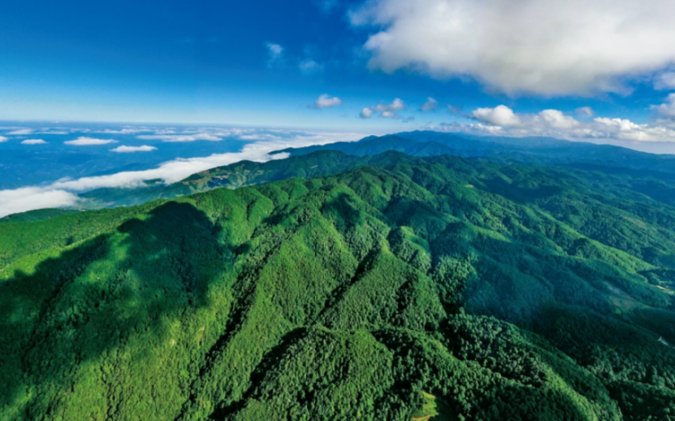 露营哀牢山女博主道歉事件深度解析