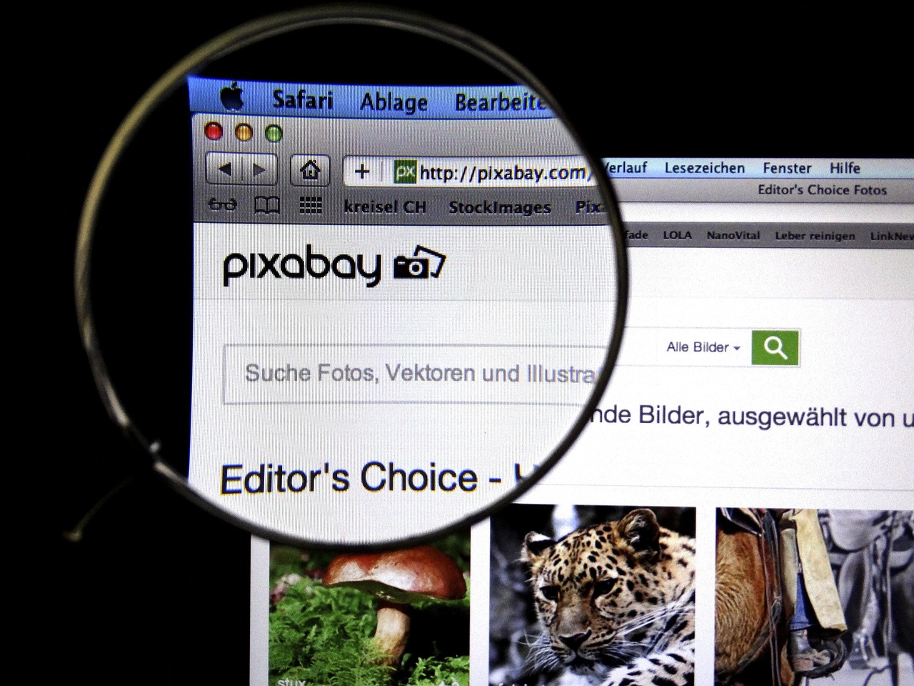 脑内惊现8厘米活虫，医学奇迹与健康警醒