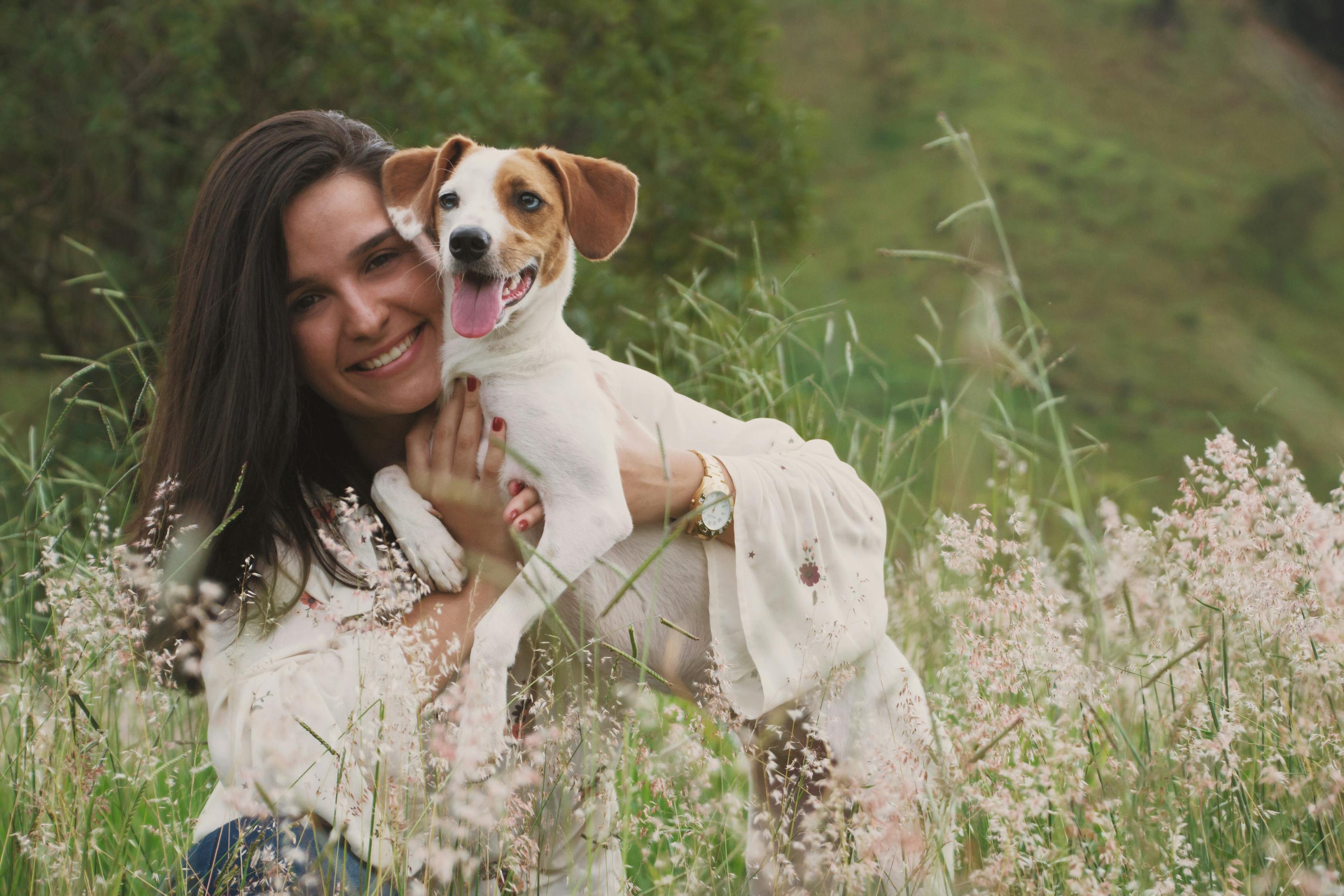 张雪严凯握手言和，从冲突到和解的历程